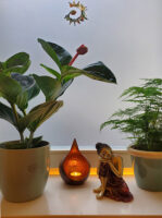 Budda mit Pflanze klein